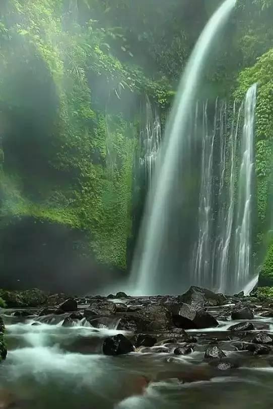 防御阵型2