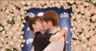 白莲花守则